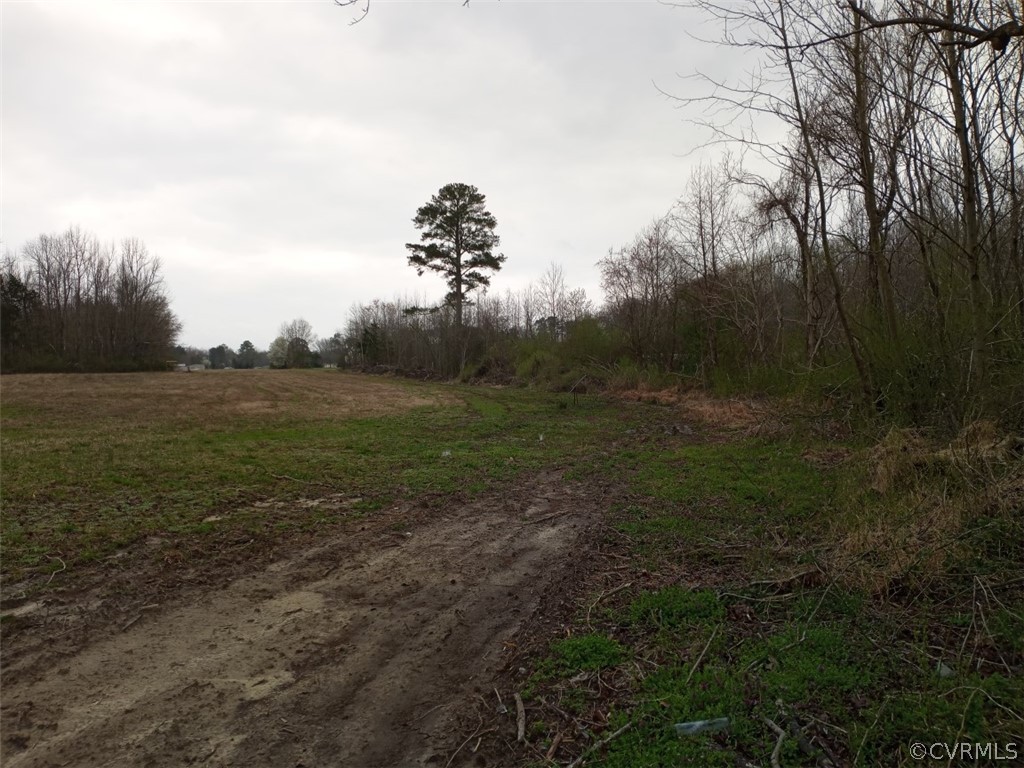 0 Webb Road Disputanta, VA 23842 - Photo 4 of 13 Gallery Image 4