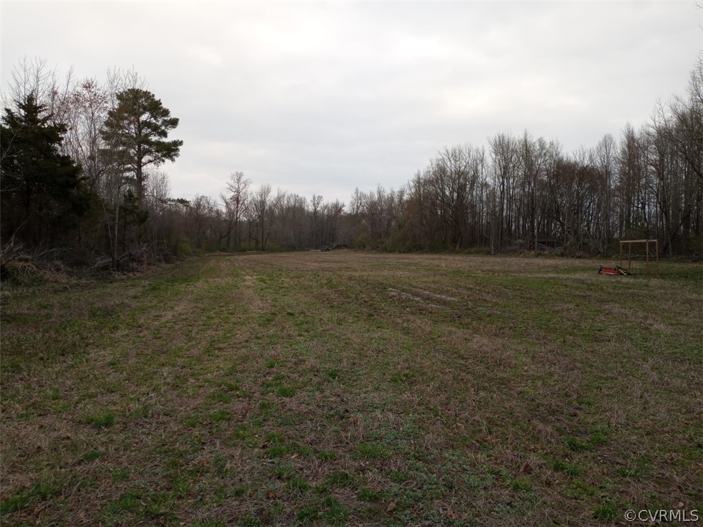 0 Webb Road Disputanta, VA 23842 - Photo 8 of 13 Gallery Image 8