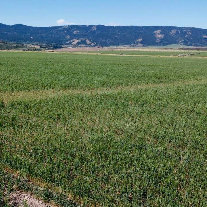 Tbd Gunnell Road Soda Springs, ID 83276 - Photo 1 of 1 Gallery Image 1
