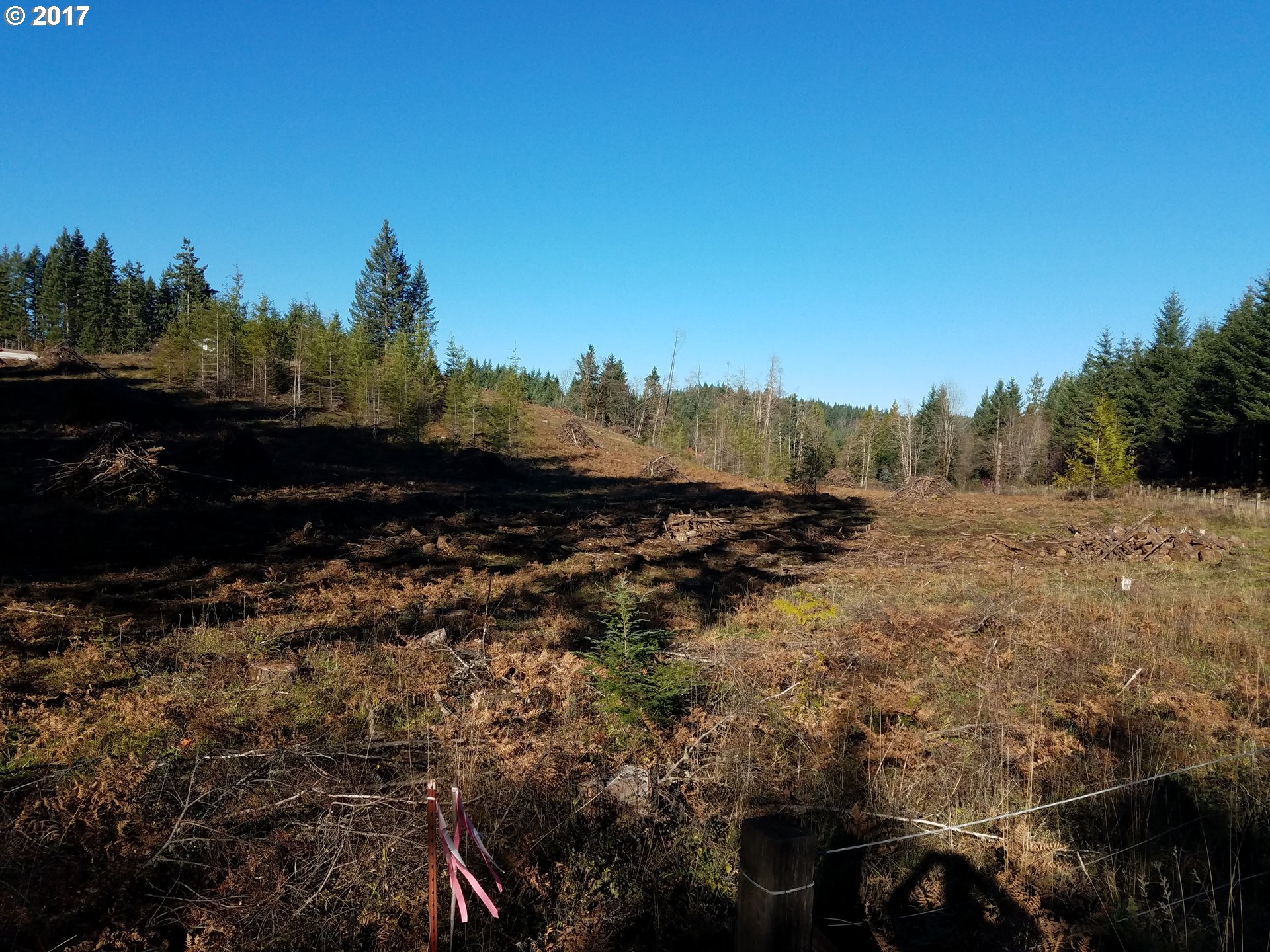 Northwest Strassel Road Forest Grove, OR 97116 - Photo 3 of 3 Gallery Image 3
