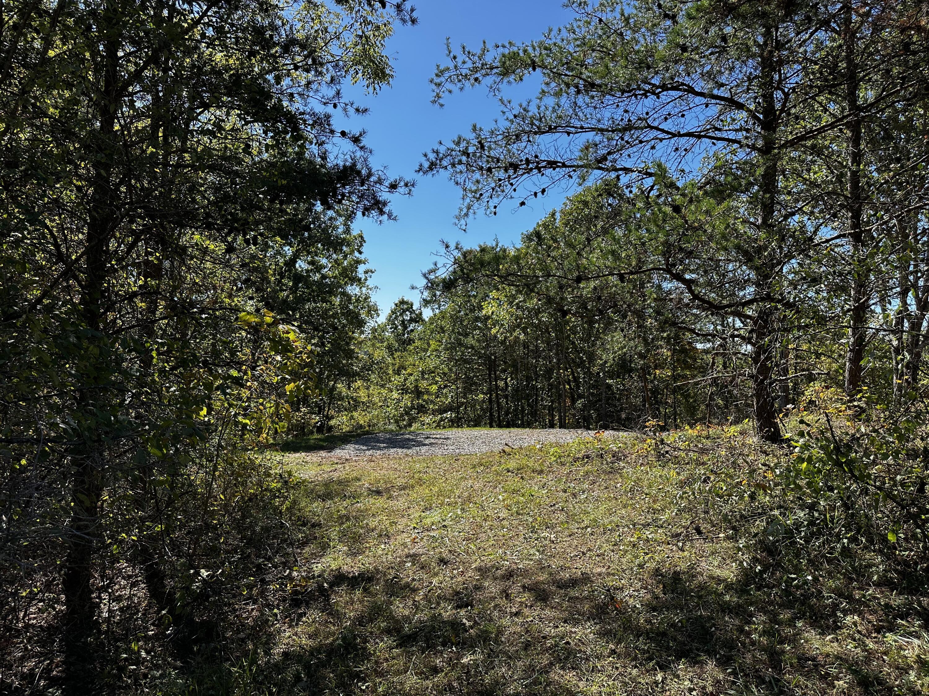 865 Hull Road, Unit TRACT 13 WOODS WAYNE FOREST) Patriot, OH 45658 - Photo 5 of 57 5