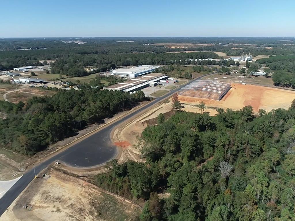 65.49-ac Drew Road Dothan, AL 36301 - Photo 10 of 29