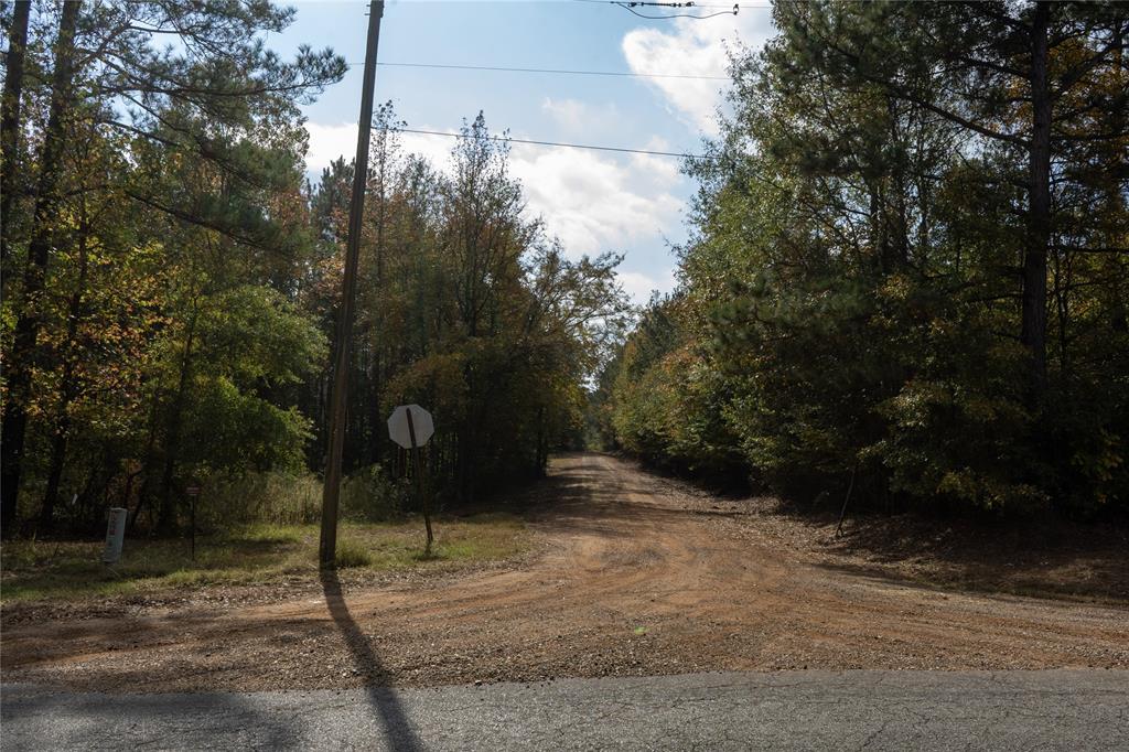 0 Harper Bottom Road Ruston, LA 71270 - Photo 5 of 18 a view of path and tree