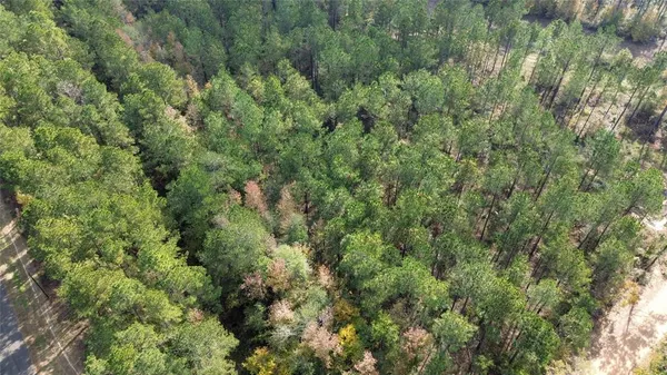 an aerial view of residential house with outdoor space and trees all around