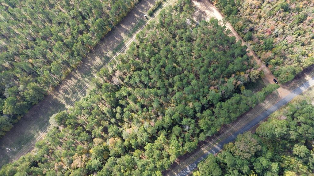 0 Harper Bottom Road Ruston, LA 71270 - Photo 10 of 18 a view of a forest with a tree