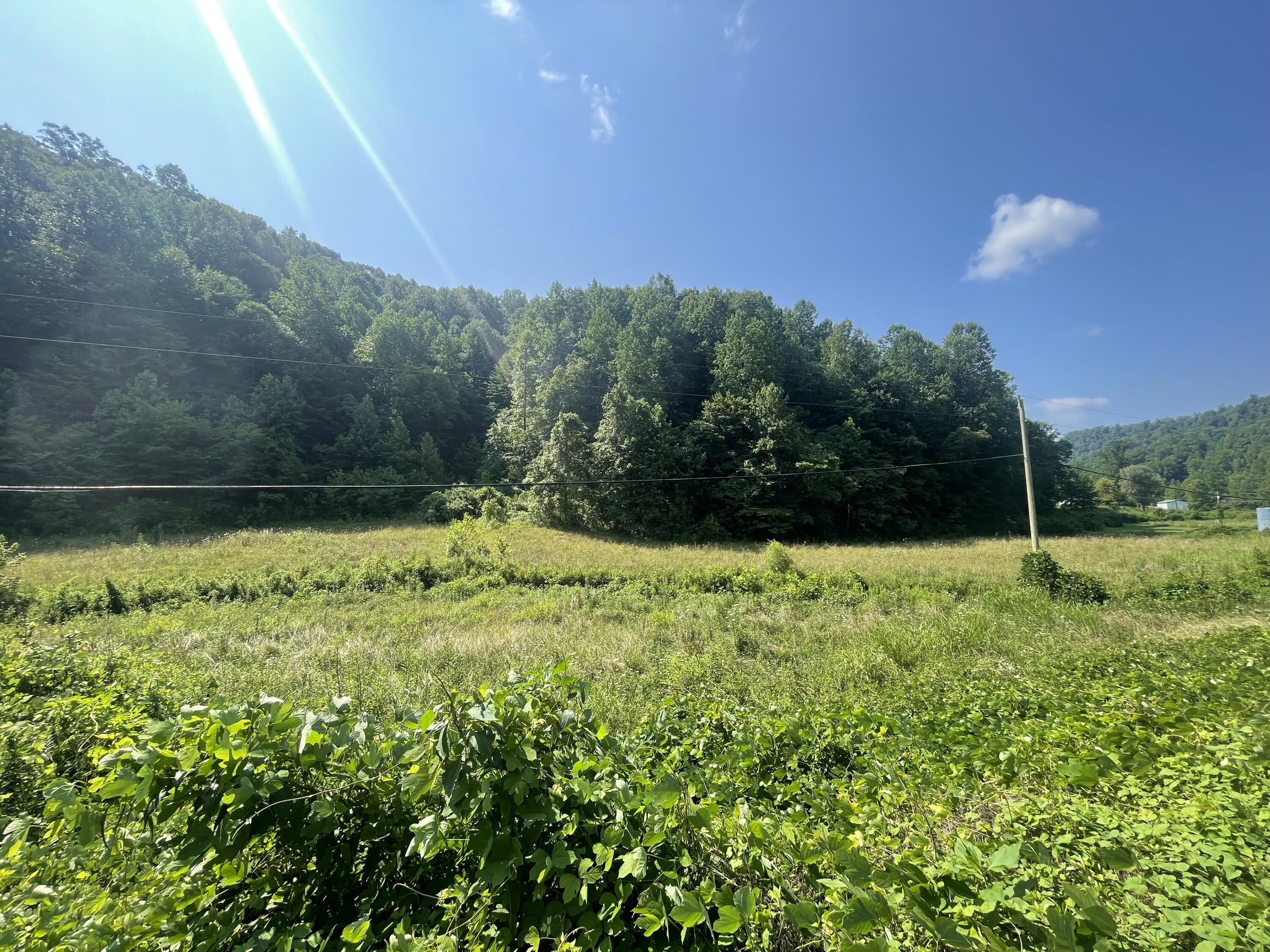 9999 Jeffs Creek Road Scalf, KY 40982 - Photo 1 of 5 IMG-7183