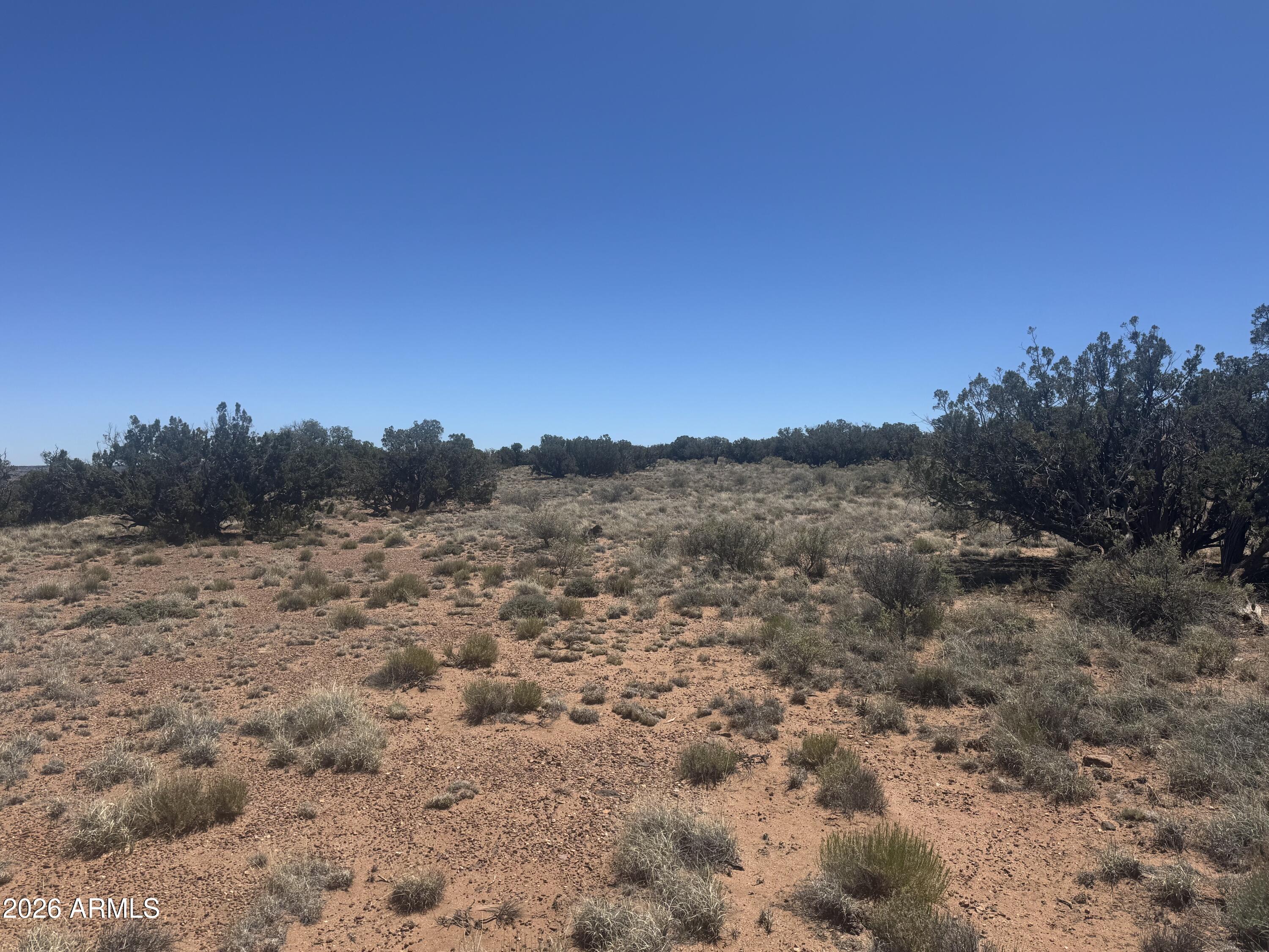 Lot 261 Woodridge Ranch, Unit 261 Concho, AZ 85924 - Photo 3 of 24 IMG_1502