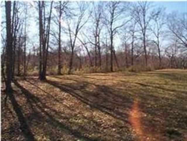 156 Tree Frog Lane Benton, TN 37307 - Photo 3 of 6
