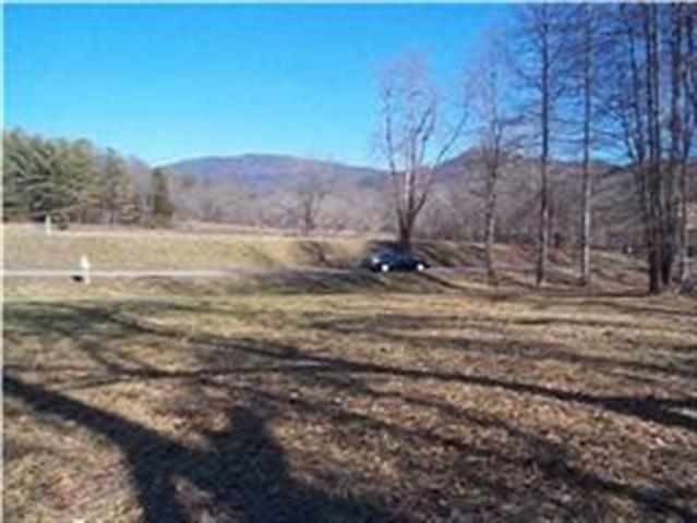 156 Tree Frog Lane Benton, TN 37307 - Photo 4 of 6