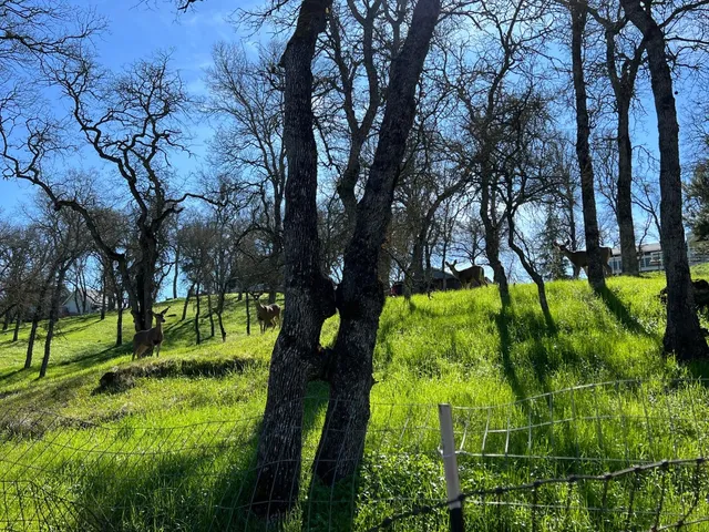 $389,000 | 8015 Kirby Street, Valley Springs, CA 95252