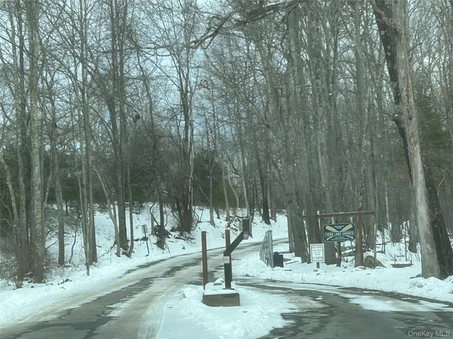 a swimming pool with large trees and covered with tall trees