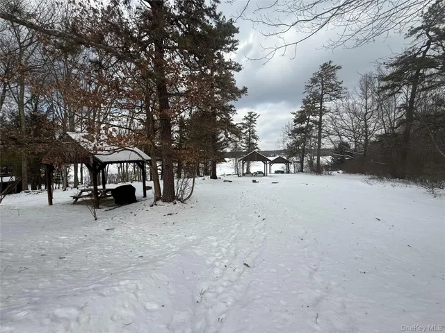 a view of snow on the road and trees