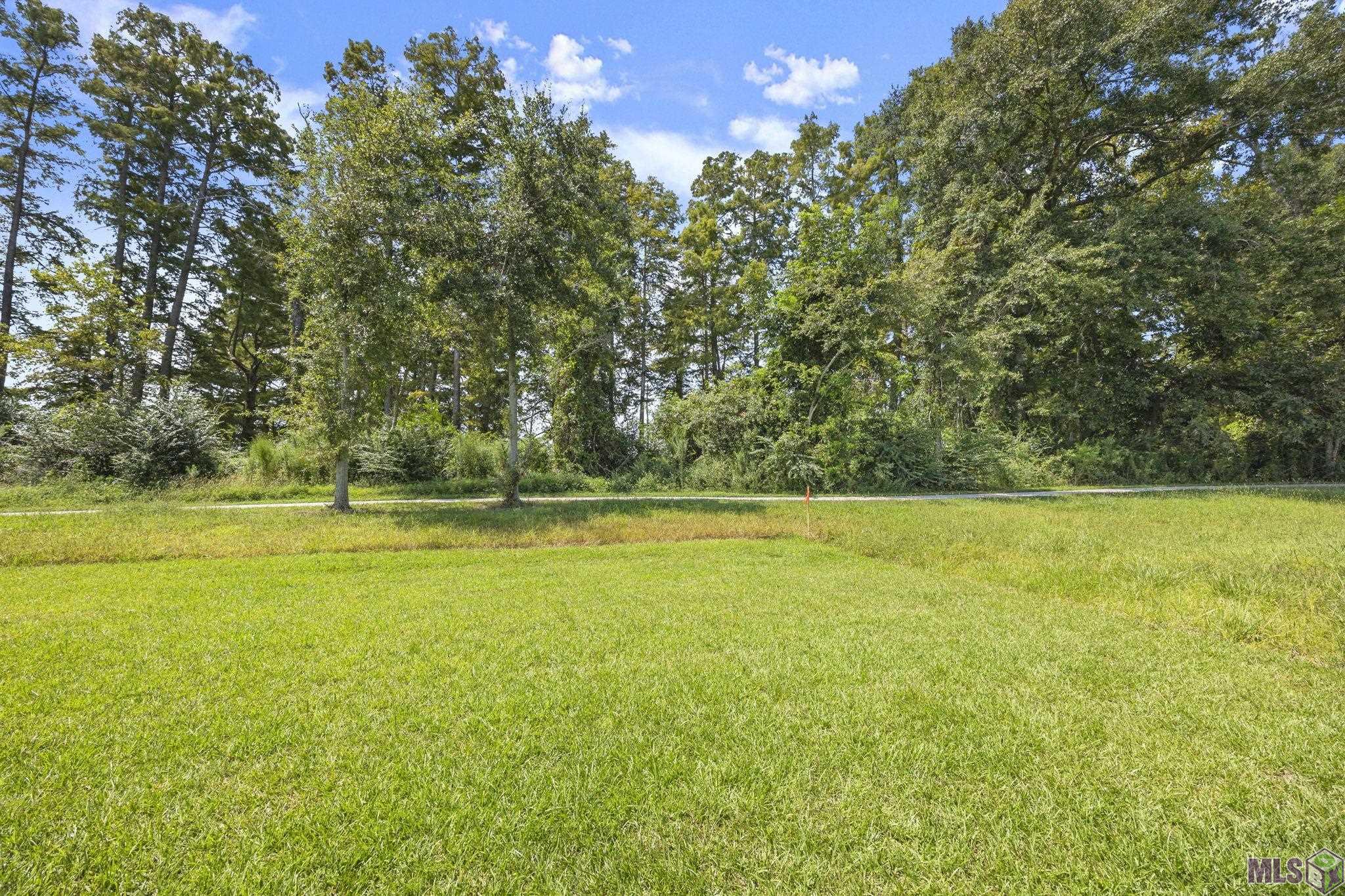 3860 Waterbury Avenue Baton Rouge, LA 70810 - Photo 32 of 36 Backyard views!