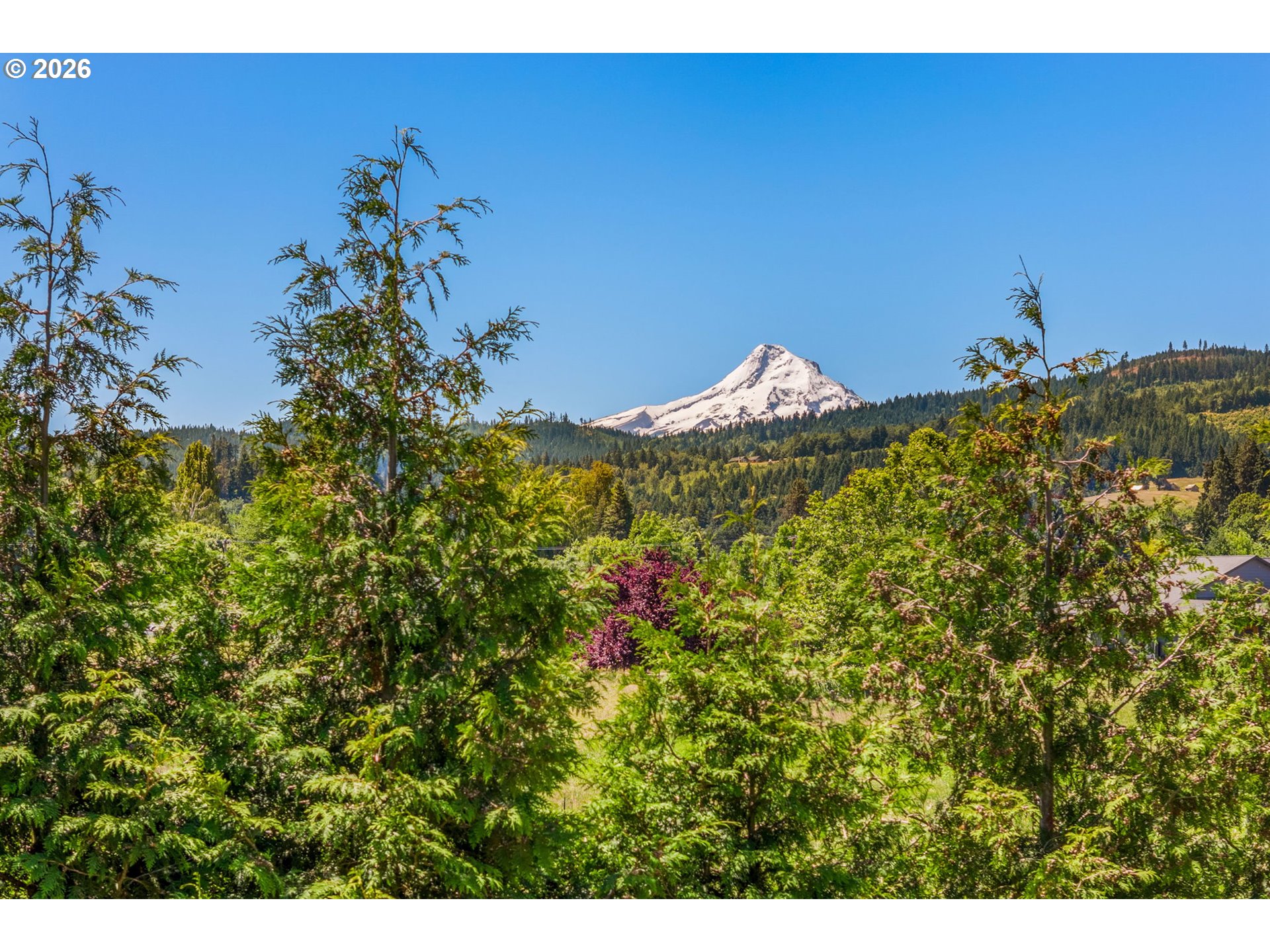 2939 Wyeast Road Hood River, OR 97031 - Photo 3 of 48