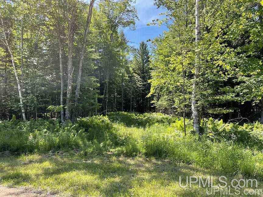 Tbd Chvala Road Manistique, MI 49854 - Photo 2 of 21 Gallery Image 2