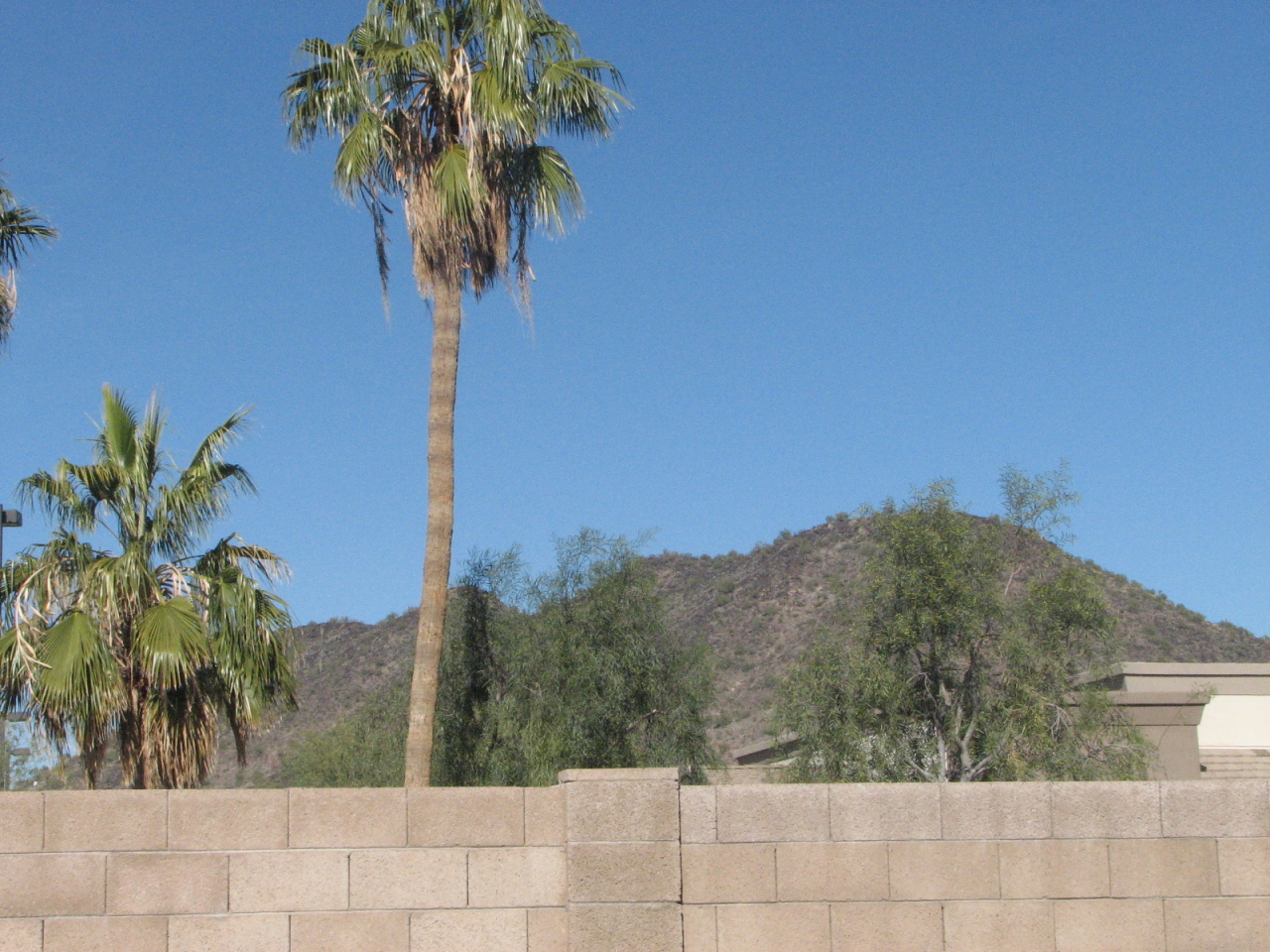 5032 West Tonto Road Glendale, AZ 85308 - Photo 24 of 28 24 Mountain Views