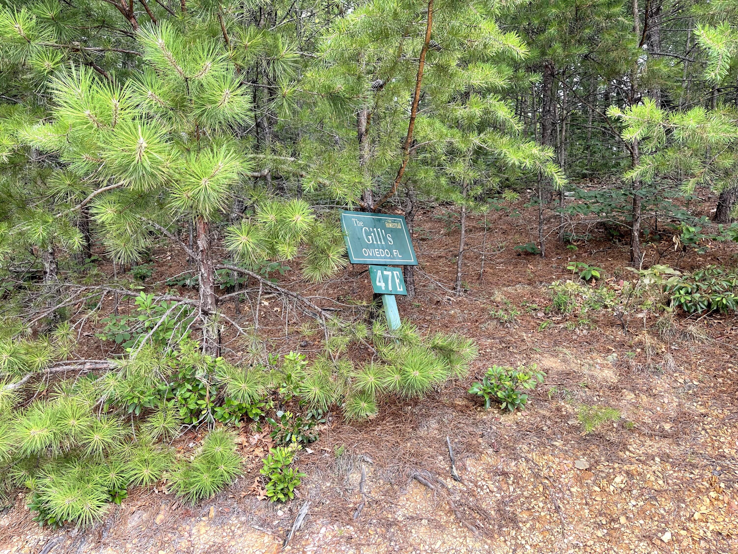 Lot 47 Harvest Moon Road Sevierville, TN 37862 - Photo 1 of 11 CC914E9E-1D38-4FC2-972E-0B8C7DBFA0AB