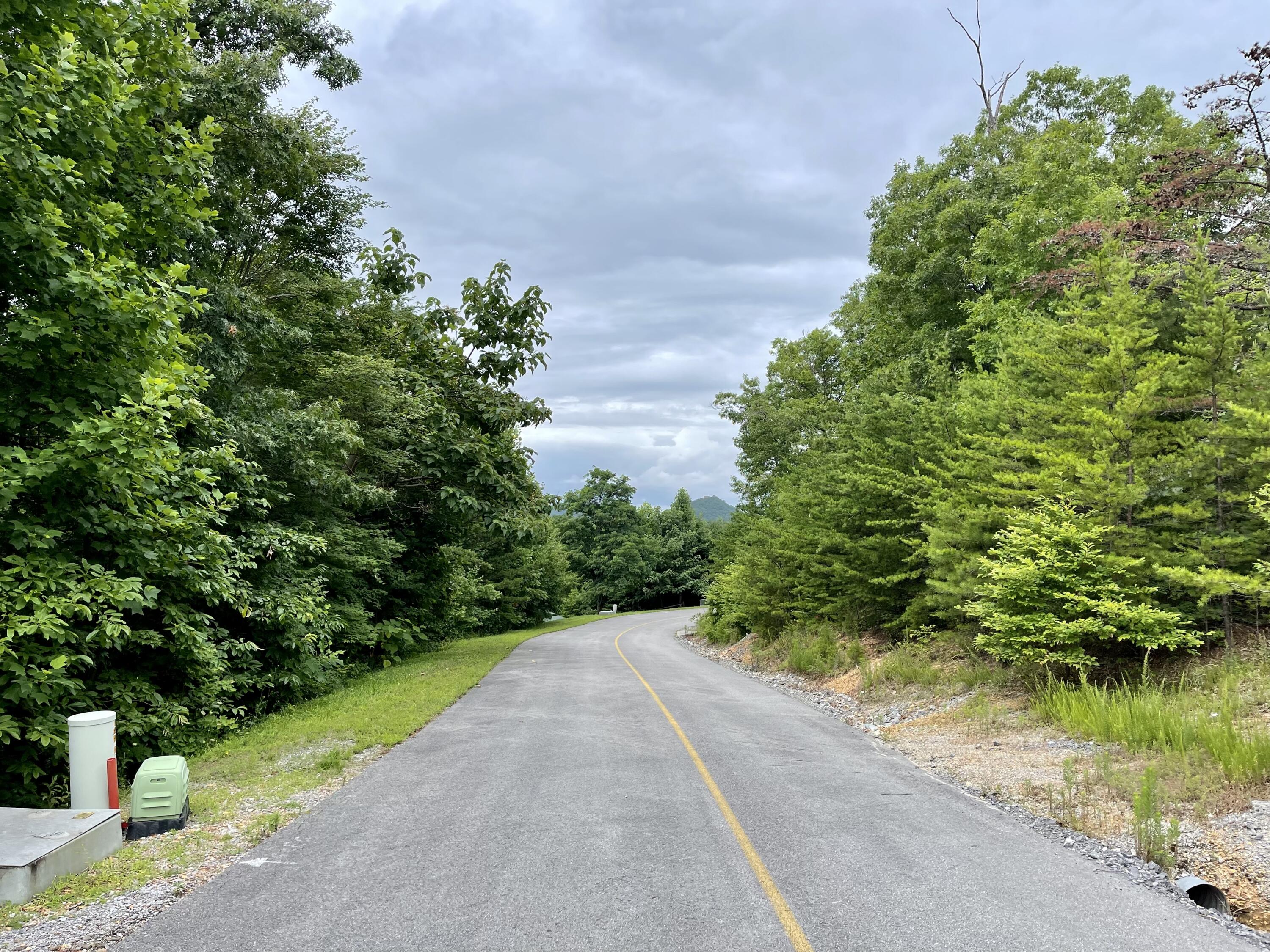 Lot 47 Harvest Moon Road Sevierville, TN 37862 - Photo 2 of 11 6A32034E-943E-449B-91DB-D3E98DC1CF3C