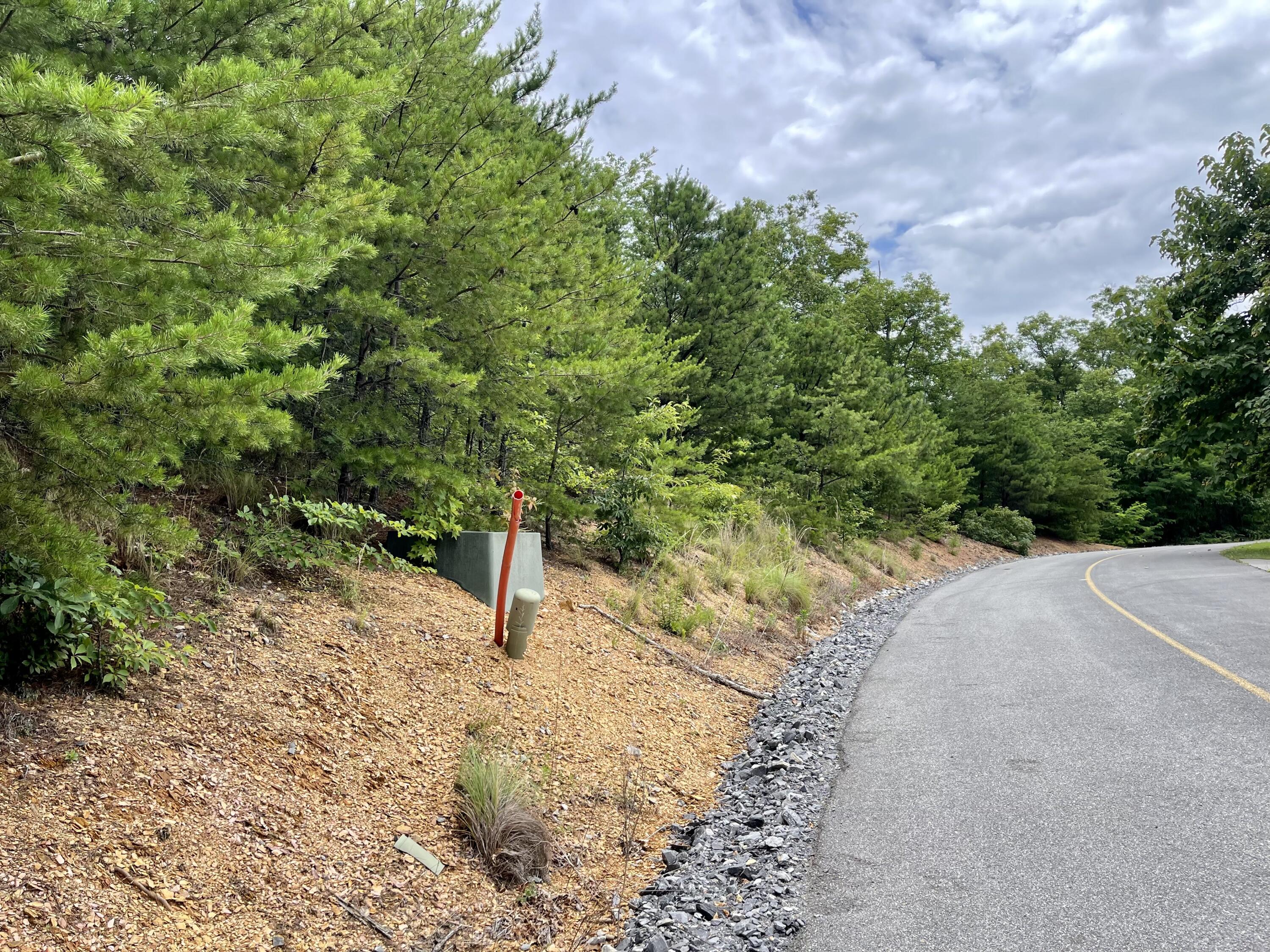 Lot 47 Harvest Moon Road Sevierville, TN 37862 - Photo 3 of 11 02310E78-79DF-41E8-809D-39E2236A1EBD