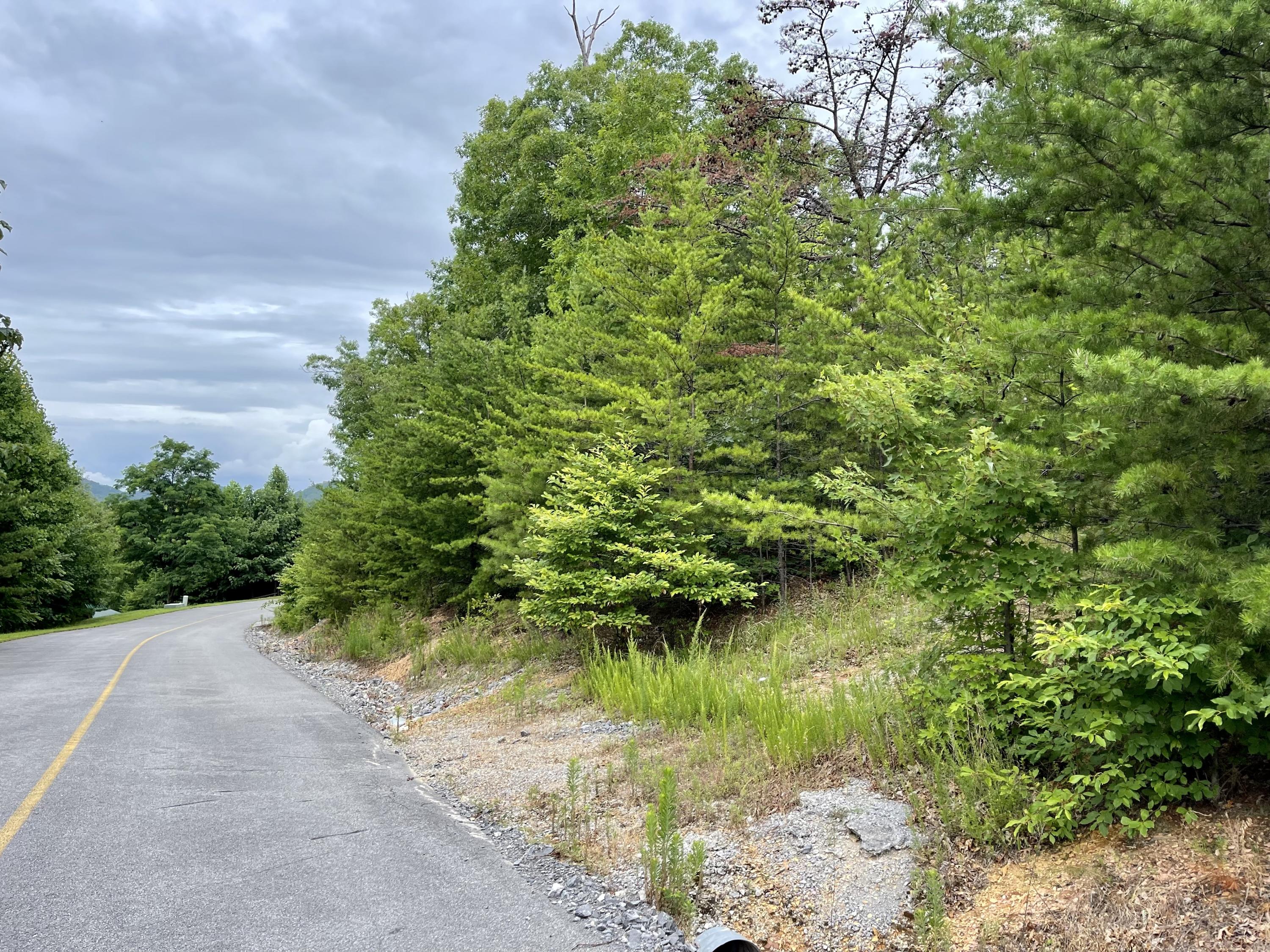 Lot 47 Harvest Moon Road Sevierville, TN 37862 - Photo 4 of 11 438B223A-4EA8-43FA-8593-DF9060D106FA