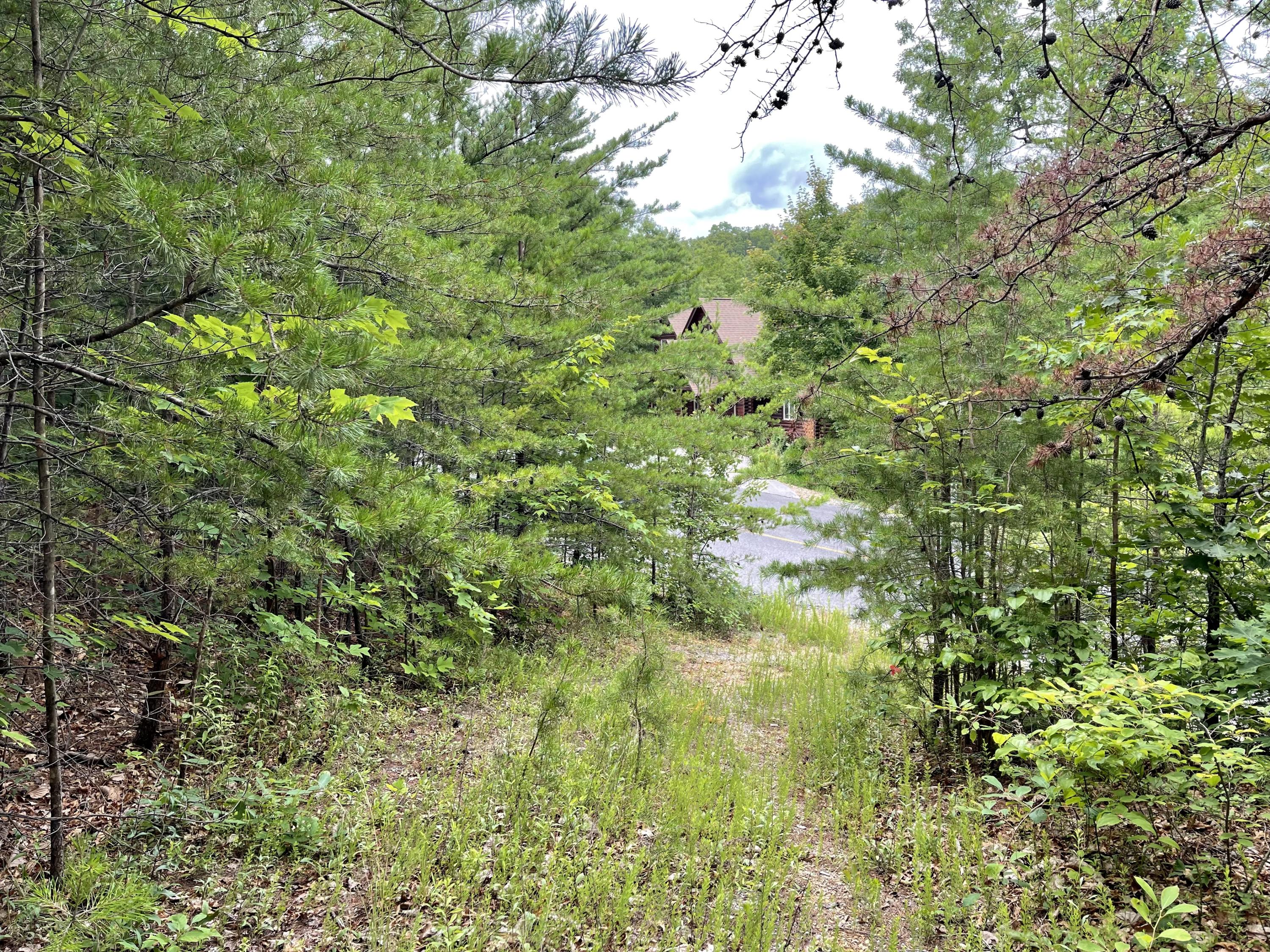 Lot 47 Harvest Moon Road Sevierville, TN 37862 - Photo 5 of 11 3C580373-5264-414D-BC6D-BAC368C02F57