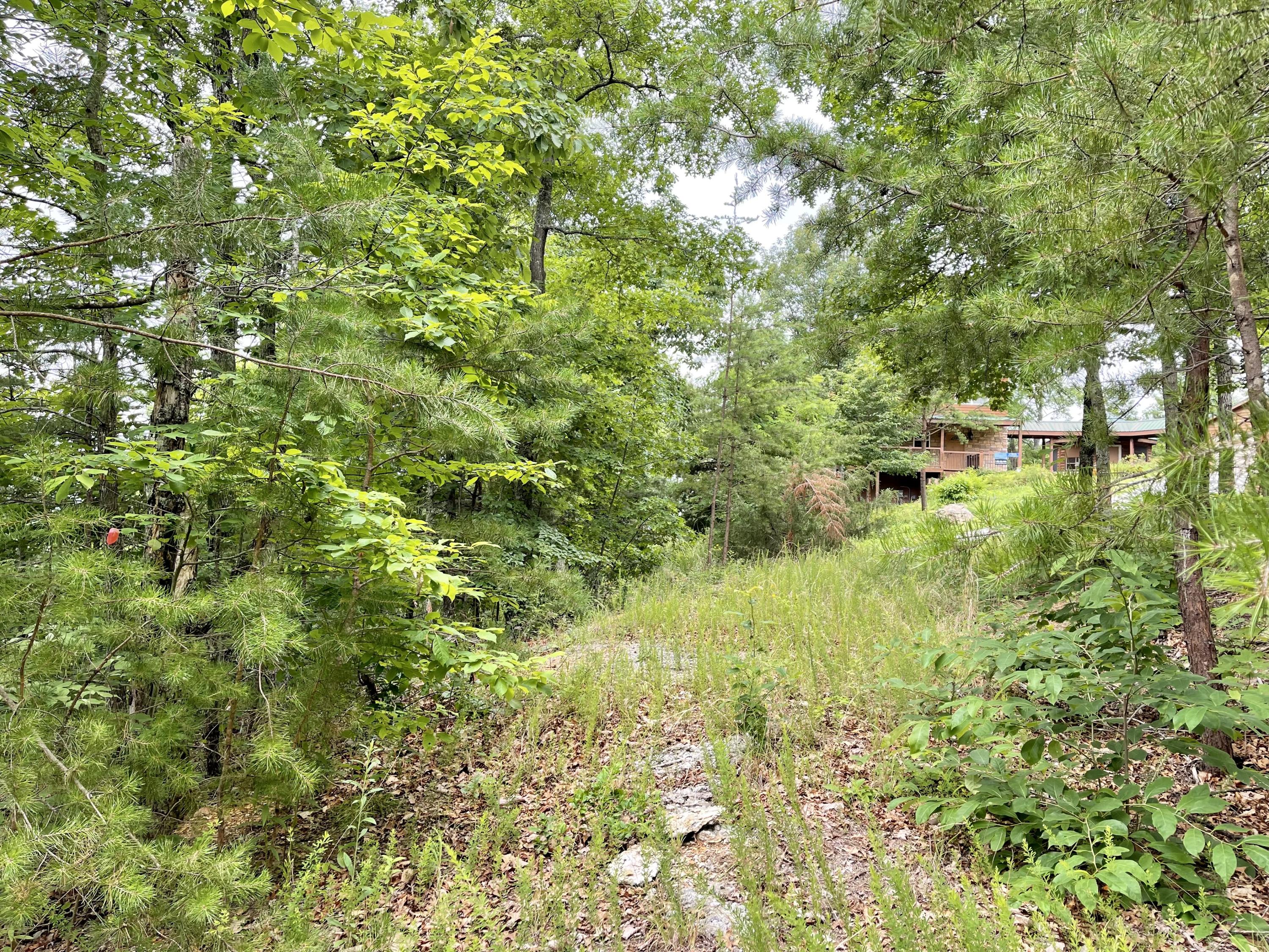 Lot 47 Harvest Moon Road Sevierville, TN 37862 - Photo 6 of 11 B49B2A86-2088-4FC9-925C-89EA314E699E