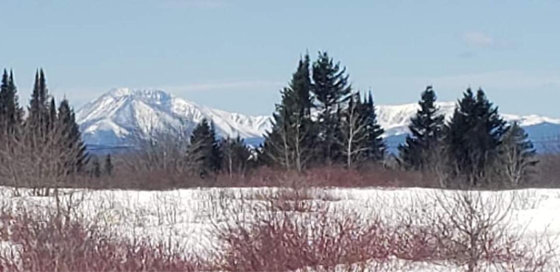 46 Rte 11 Patten, ME 04765 - Photo 81 of 83 IMG_0598