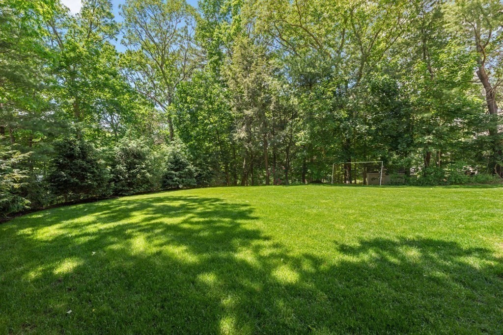 10 Sturbridge Road Wellesley, MA 02481 - Photo 32 of 34 a view of yard with green space