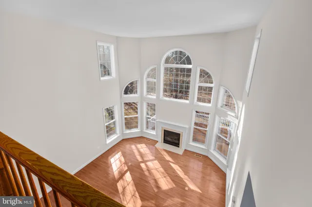 a workspace with furniture and a potted plant