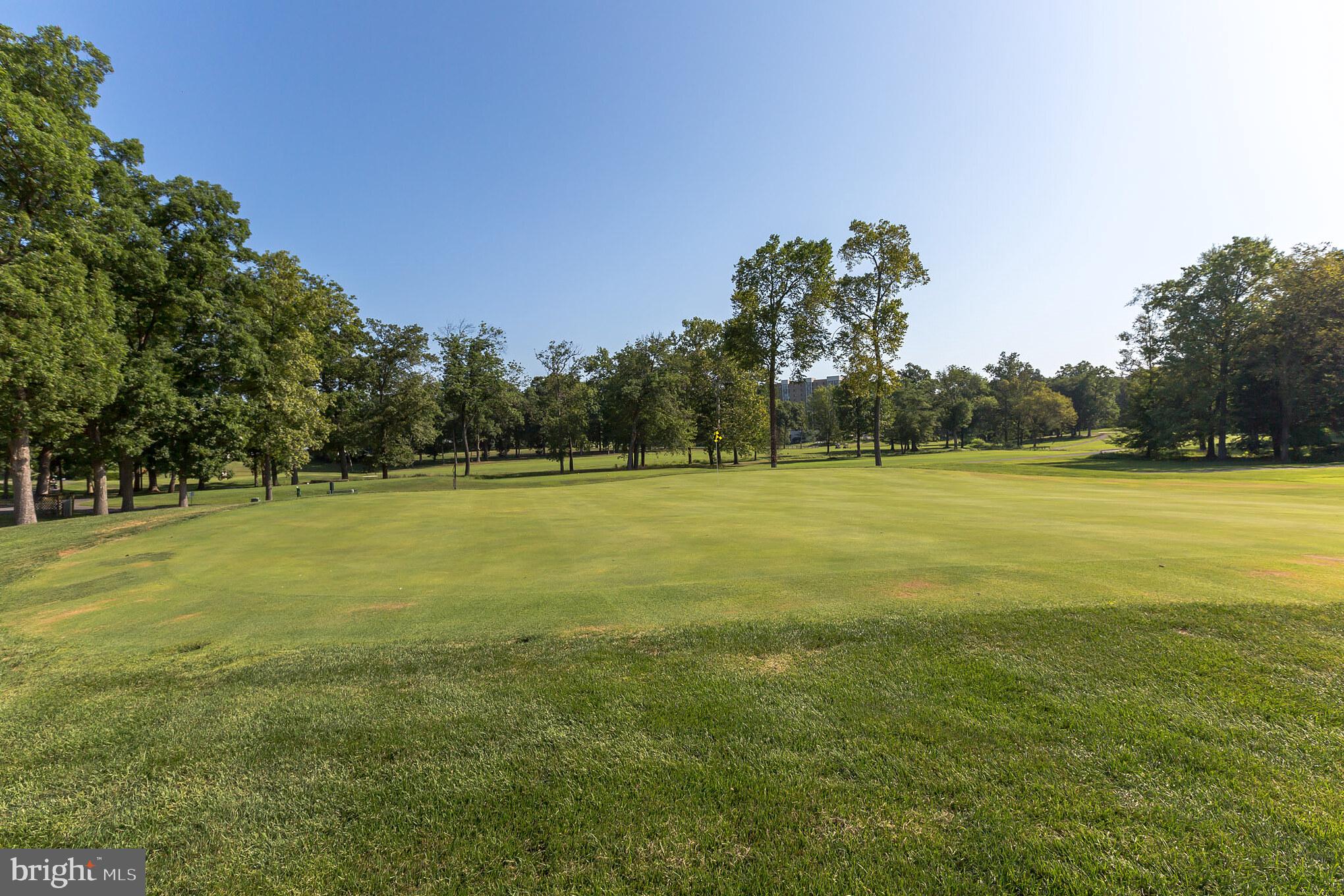 3340 Gleneagles Drive, Unit 691D Silver Spring, MD 20906 - Photo 19 of 22 Golf Course