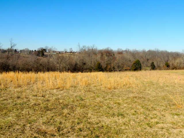 1 Blackford Road Cunningham, TN 37052 - Photo 3 of 9