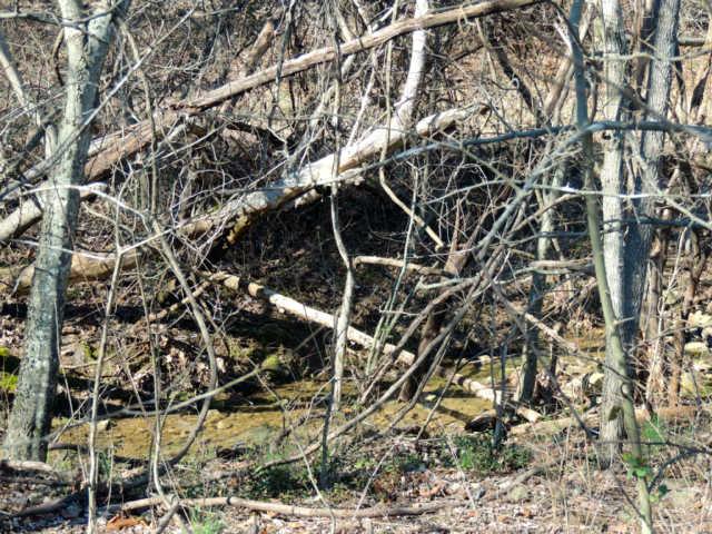 1 Blackford Road Cunningham, TN 37052 - Photo 4 of 9