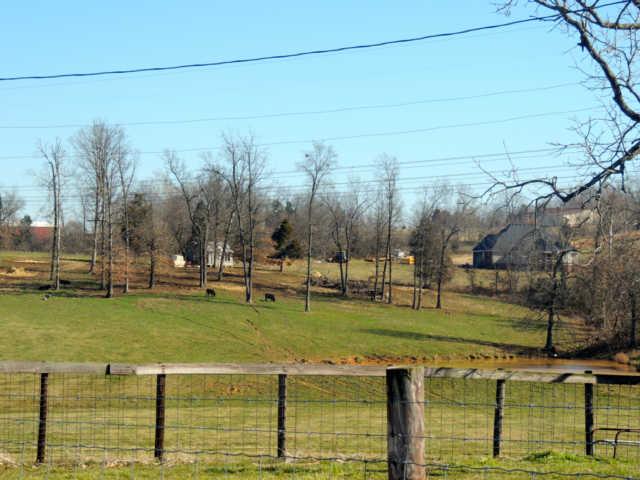 1 Blackford Road Cunningham, TN 37052 - Photo 7 of 9
