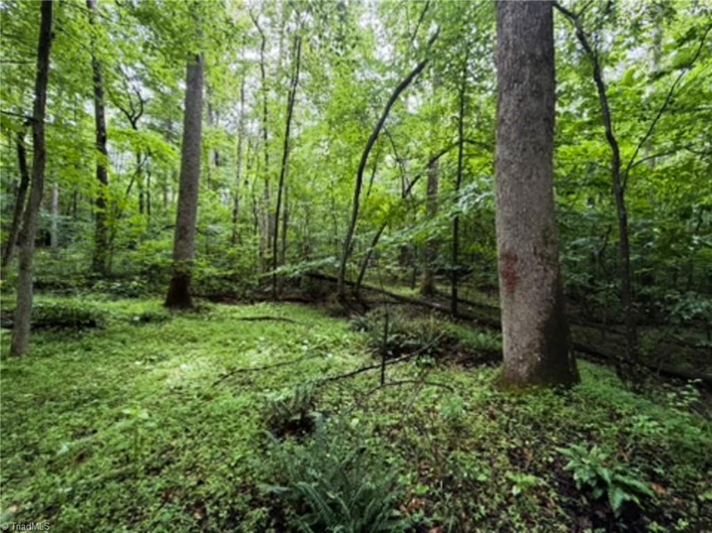 7767 Pearman Quarry Road Kernersville, NC 27284 - Photo 12 of 27