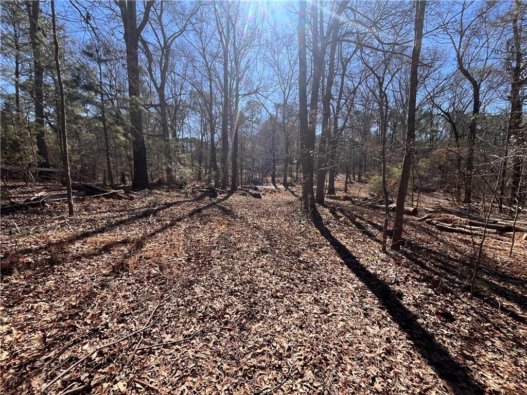 55 Key Road Ellenwood, GA 30294 - Photo 12 of 15 a view of a yard with trees