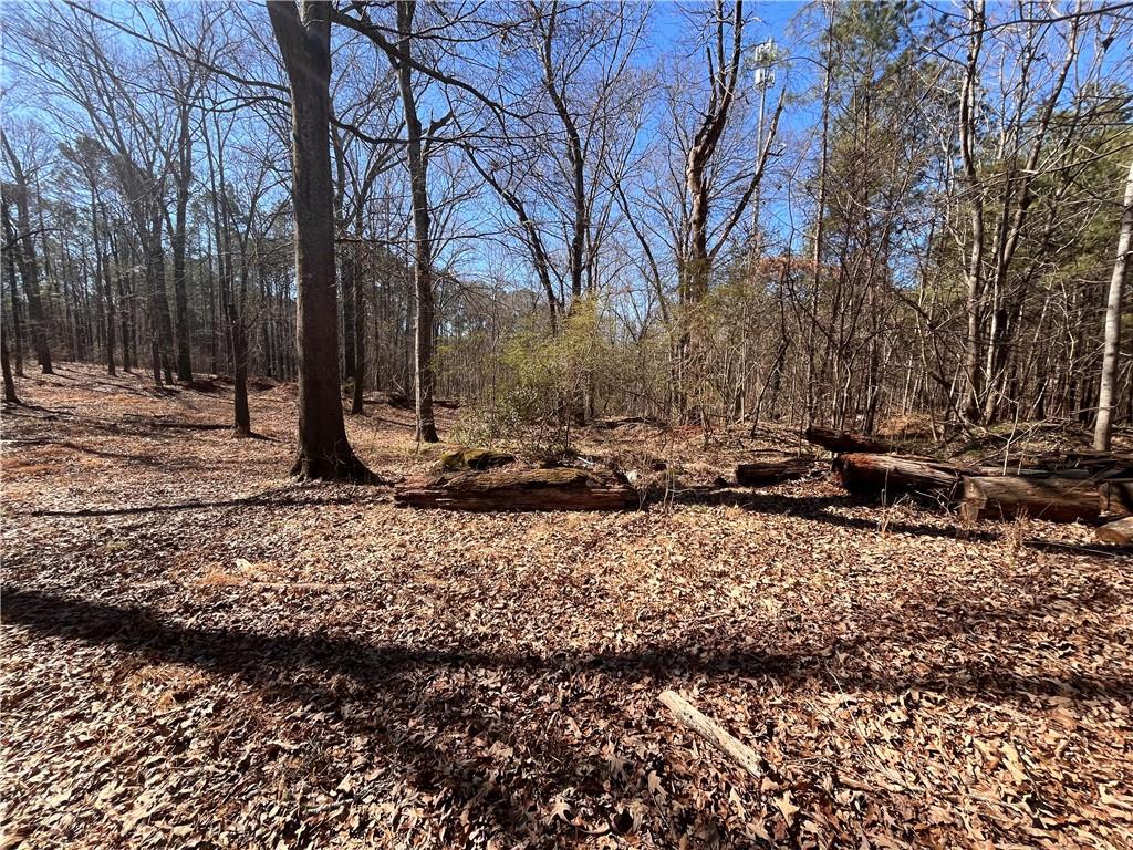 55 Key Road Ellenwood, GA 30294 - Photo 13 of 15 a view of a fire pit with large trees