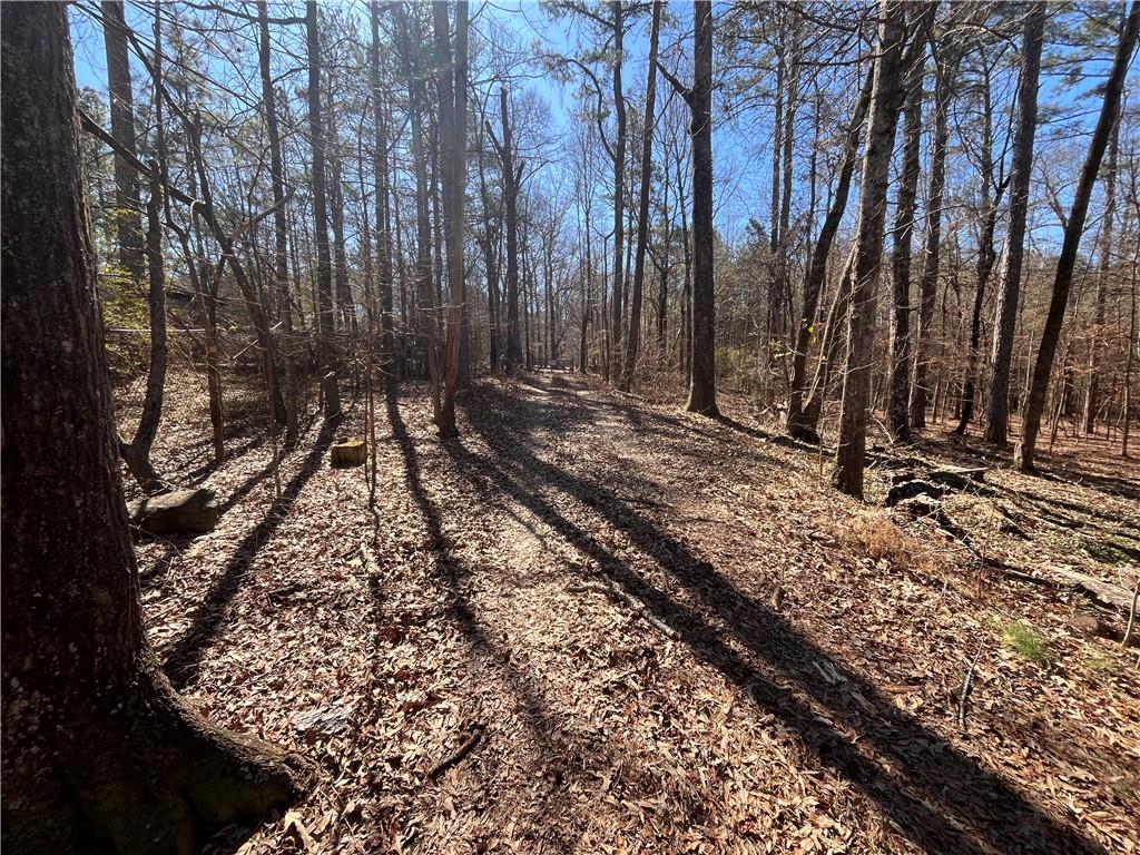 55 Key Road Ellenwood, GA 30294 - Photo 14 of 15 a view of a backyard with large trees