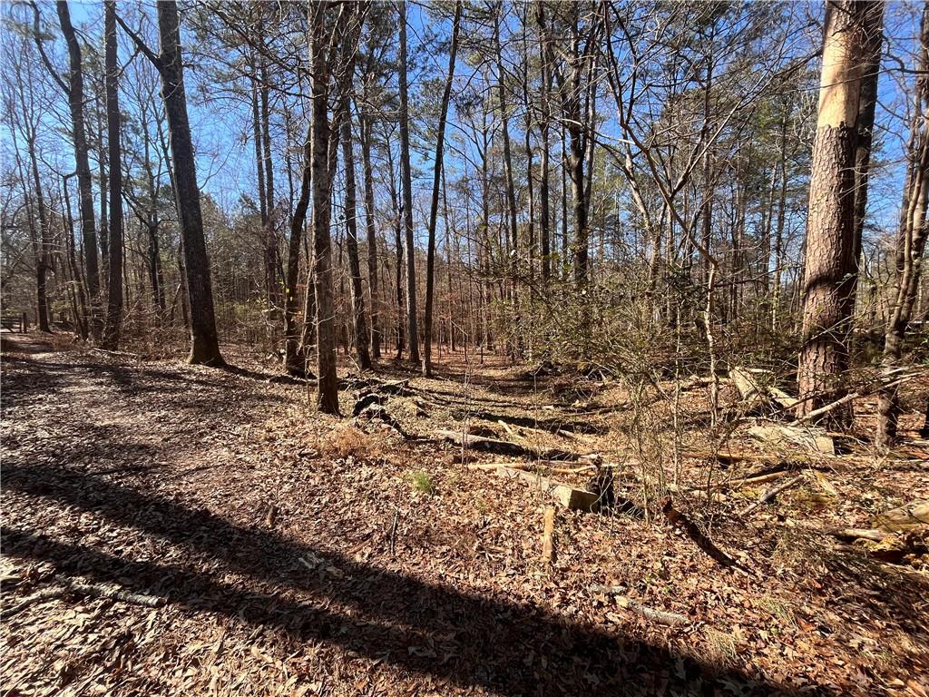 55 Key Road Ellenwood, GA 30294 - Photo 15 of 15 a view of house with a tree