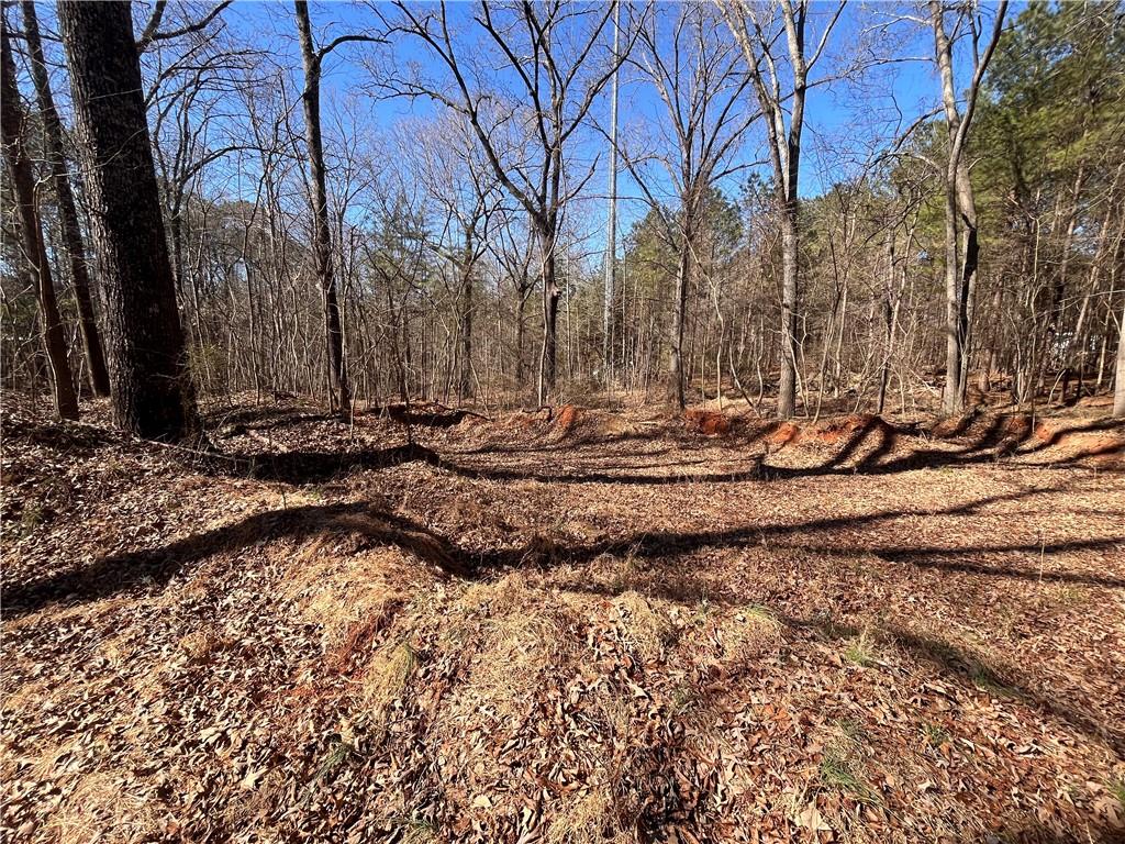55 Key Road Ellenwood, GA 30294 - Photo 2 of 15 a view of a fire pit with large trees