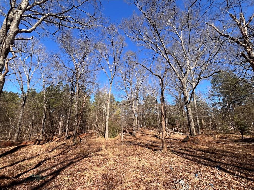 55 Key Road Ellenwood, GA 30294 - Photo 3 of 15 a view of a yard covered with snow in the front