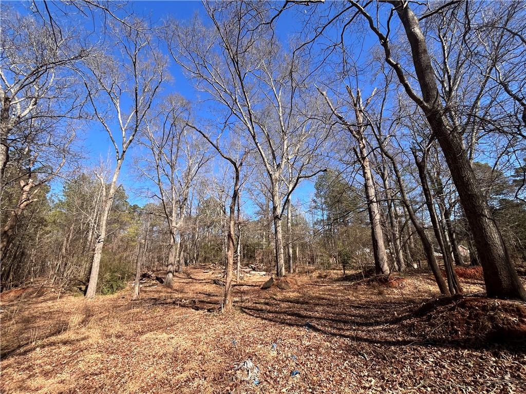 55 Key Road Ellenwood, GA 30294 - Photo 4 of 15 a view of a yard with a tree