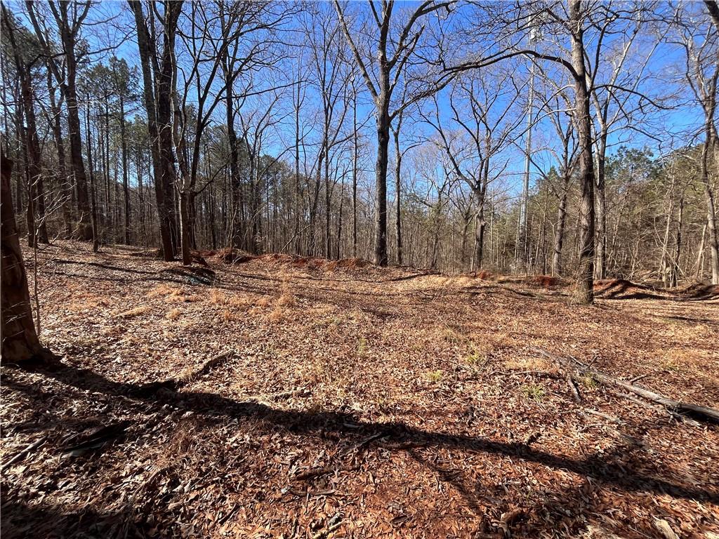 55 Key Road Ellenwood, GA 30294 - Photo 5 of 15