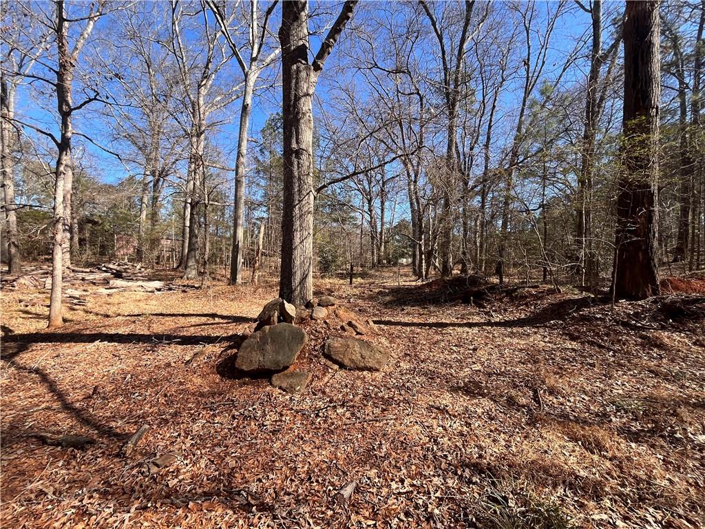 55 Key Road Ellenwood, GA 30294 - Photo 6 of 15 a view of outdoor space with trees