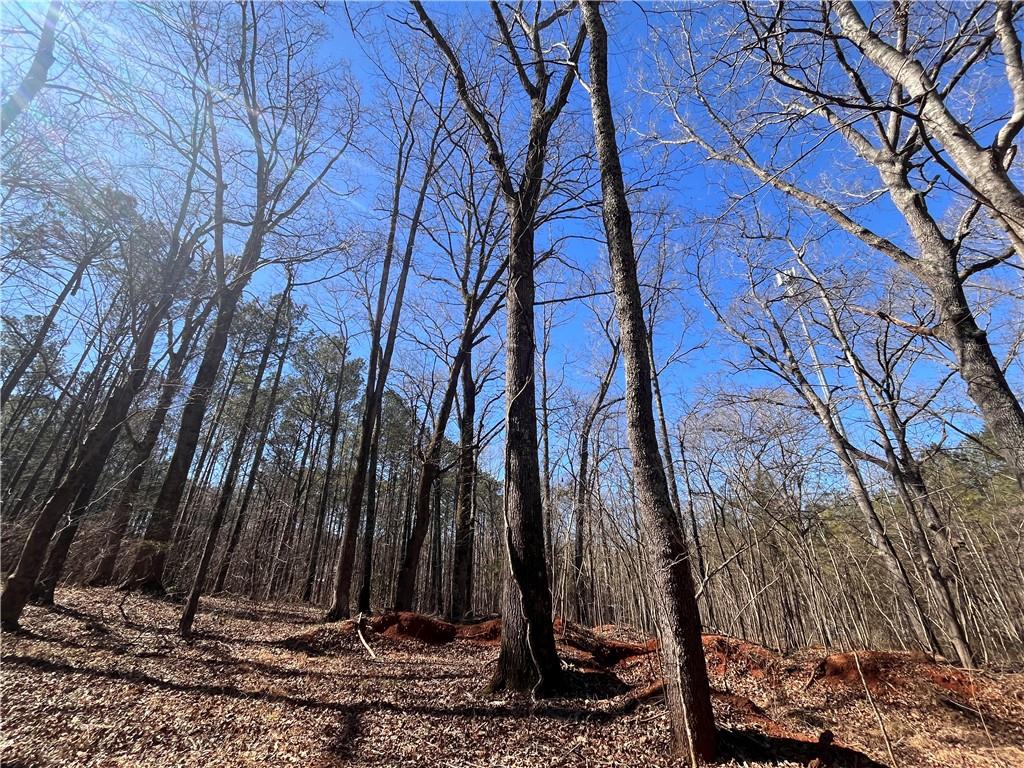55 Key Road Ellenwood, GA 30294 - Photo 7 of 15 a view of a backyard of the house