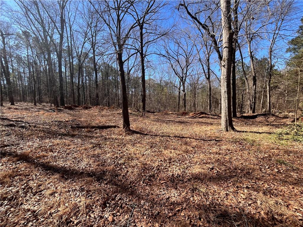 55 Key Road Ellenwood, GA 30294 - Photo 8 of 15 a view of a backyard of the house