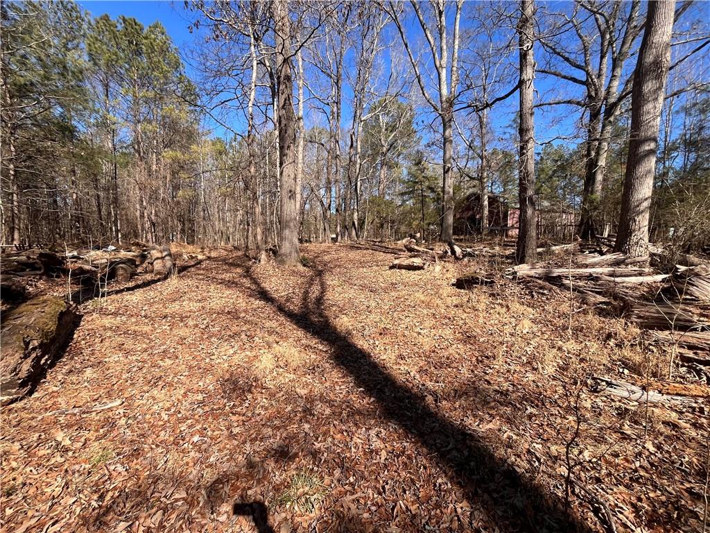 55 Key Road Ellenwood, GA 30294 - Photo 9 of 15 a view of a yard with snow on the roadside