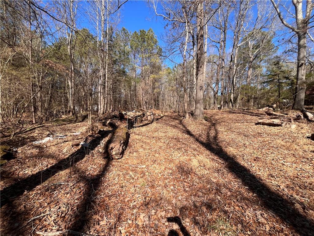 55 Key Road Ellenwood, GA 30294 - Photo 10 of 15 a view of a yard with snow