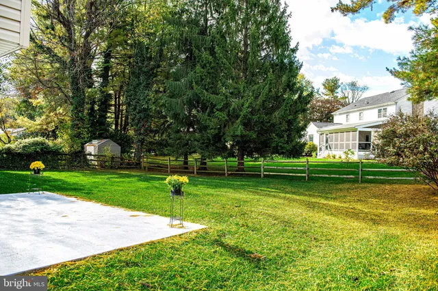 a view of a park with plants and large trees