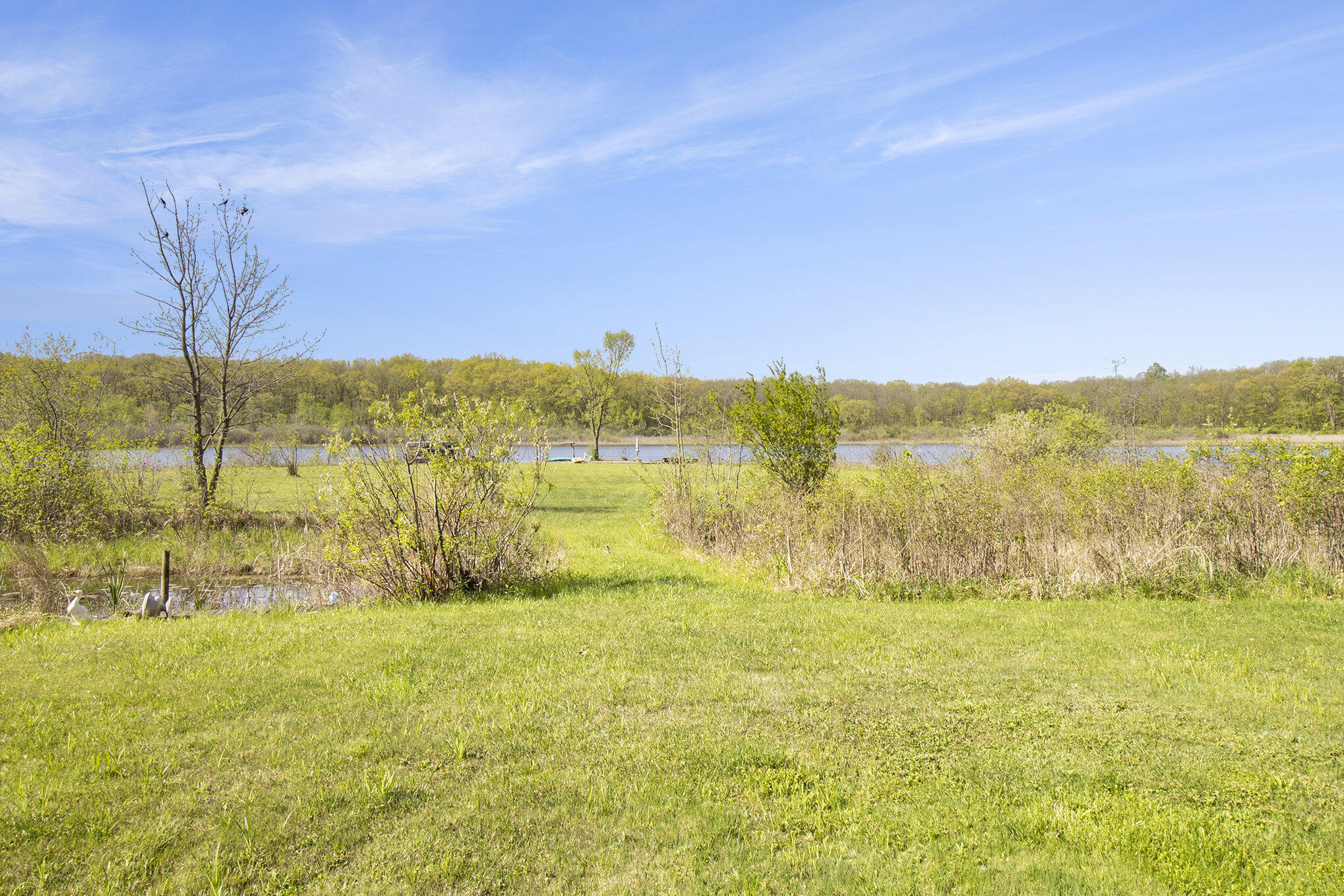 9458 Edwin Markham Road Brooklyn, MI 49230 - Photo 30 of 37 Backyard