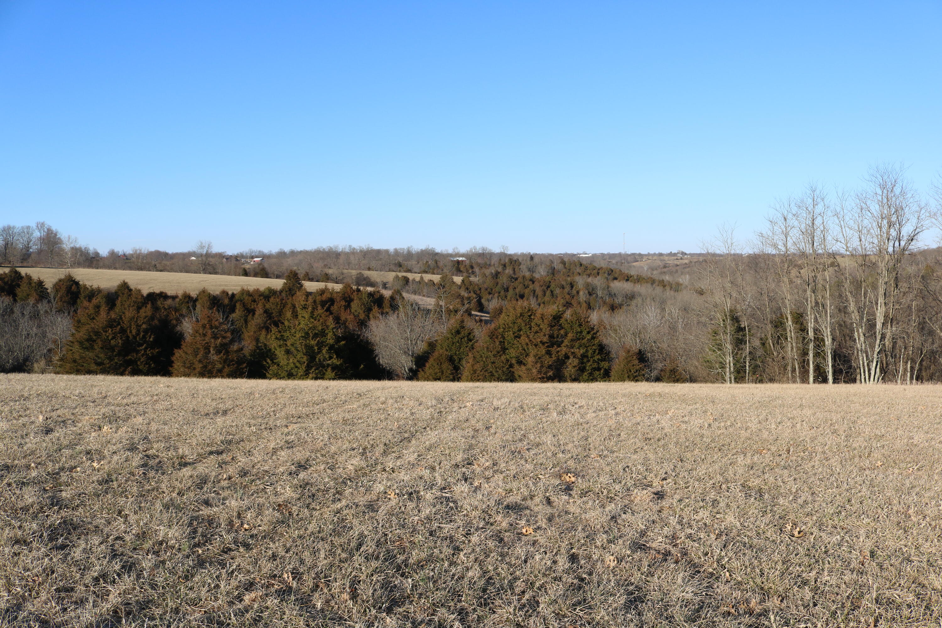 5.21-acres Vallandingham Road Dry Ridge, KY 41035 - Photo 8 of 10